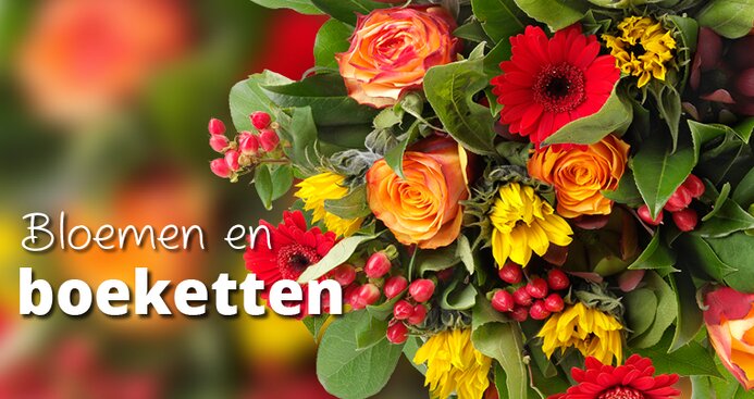 bloemen den bosch bloemist in den bosch assortiment tuincentrum bloemen den bosch bloemist in den bosch assortiment tuincentrum