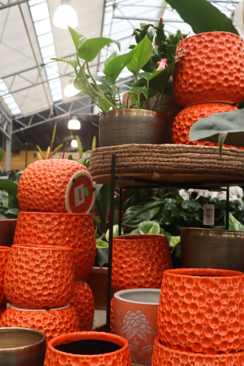Bloempotten voor binnen koop je bij GroenRijk Den Bosch!