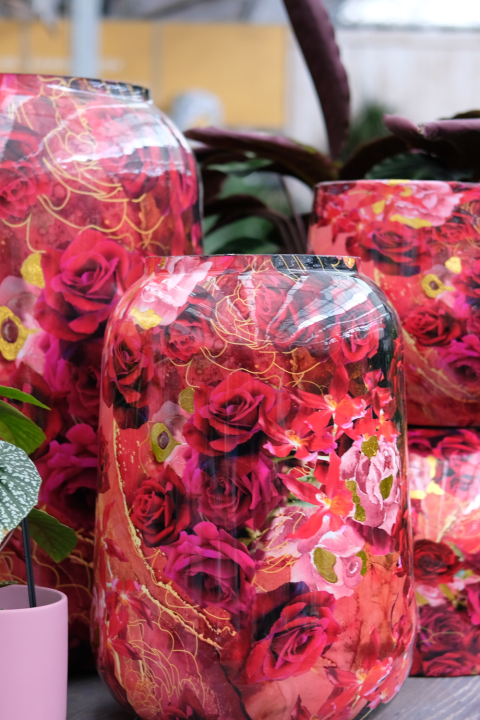 Bloempotten voor binnen koop je bij GroenRijk Den Bosch!