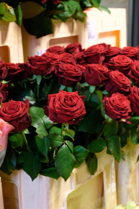 De mooiste bloemen bestel je bij GroenRijk Den Bosch!