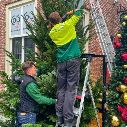 Straat versieren? GroenRijk Den Bosch doet het voor je!