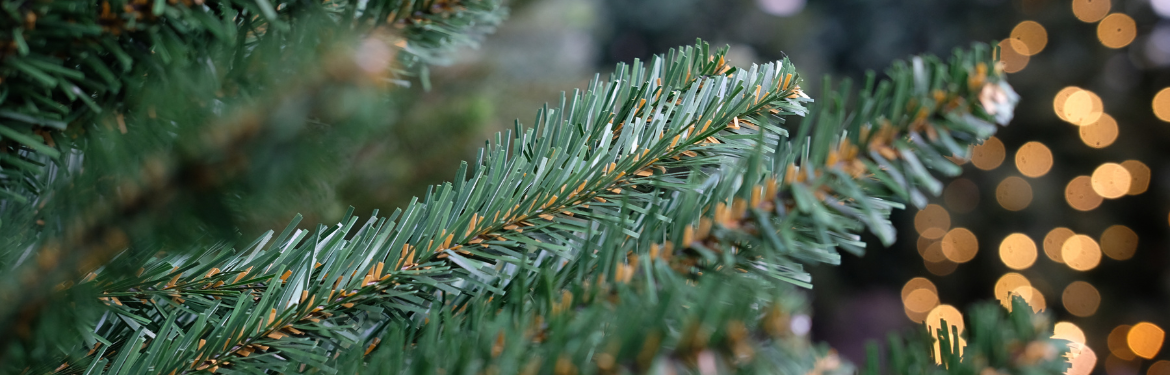Kleine kunstkerstboom en witte kunstkerstboom kopen | GroenRijk Den Bosch