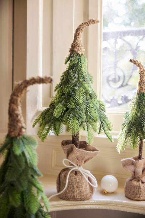Mini kerstboom kopen bij GroenRijk Den Bosch!