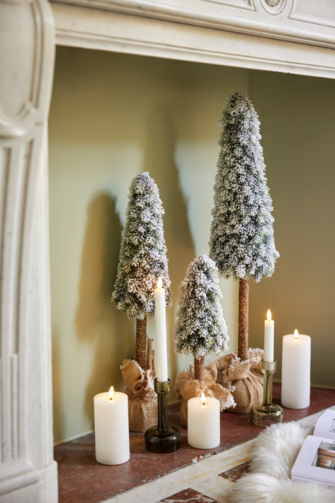 Mini kerstboom kopen bij tuincentrum GroenRijk Den Bosch!
