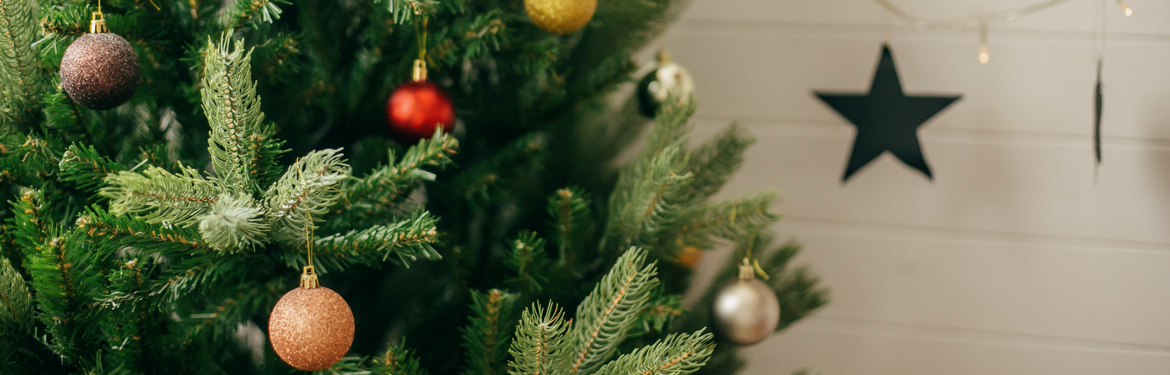 Kerstdecoratie kopen | GroenRijk Den Bosch