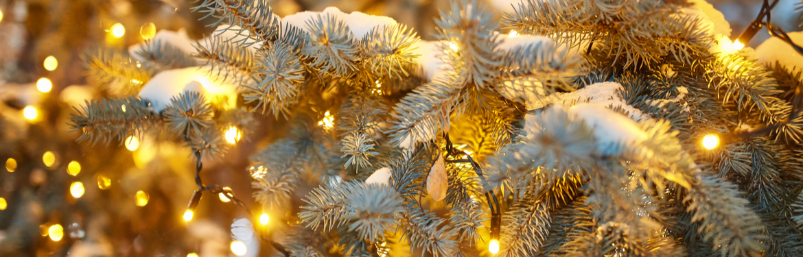 Kerstboomverlichting kopen | GroenRijk Den Bosch