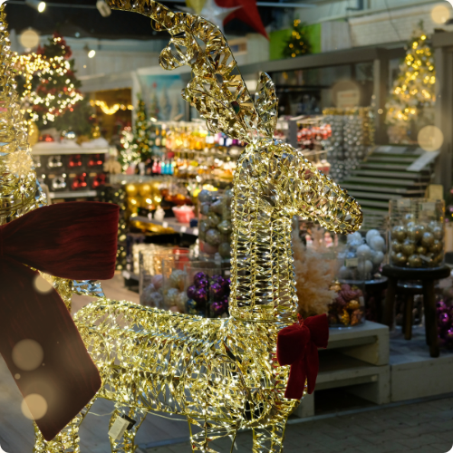 Wil jij voor jouw bedrijf écht iets bijzonders organiseren? Ontdek de kerstmarkt van GroenRijk Den Bosch! Wil jij voor jouw bedrijf écht iets bijzonders organiseren? Ontdek de kerstmarkt van GroenRijk Den Bosch!