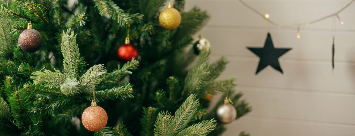 Kerstdecoratie kopen | GroenRijk Den Bosch