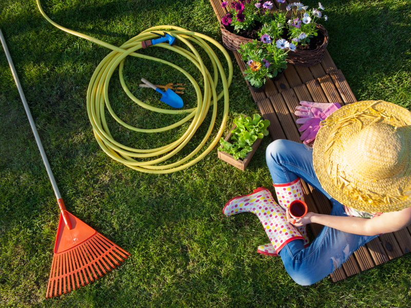 Lenteklaar maken van de tuin | GroenRijk Den Bosch