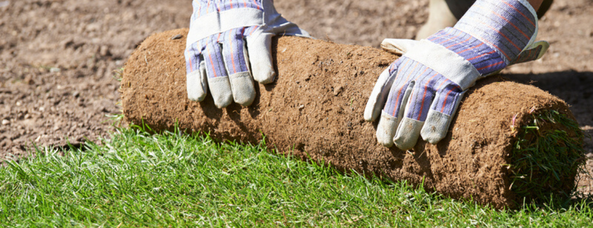 stappenplan-graszoden-leggen
