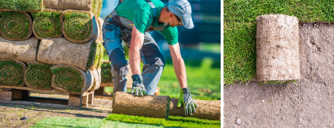 Koop graszoden bij GroenRijk Den Bosch