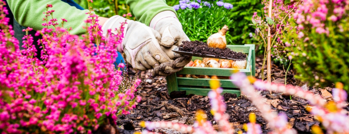 Tuinplanten, tuingereedschap, tuinmeubelen kopen Brabant