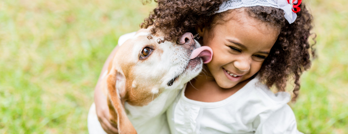 Archeologie Ik heb het erkend Ontdek Honden Benodigdheden Kopen