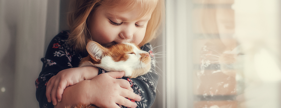 Dierenbenodigdheden van krabpalen tot de lekkerste mandjes voor uw kat of poes vindt u in onze dierenwinkel in Den Bosch.