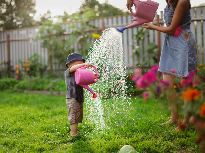 Lenteklaar maken van de tuin | GroenRijk Den Bosch