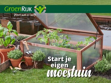 De Moestuinspecialist