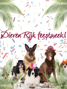 DierenRijk Feestweek!