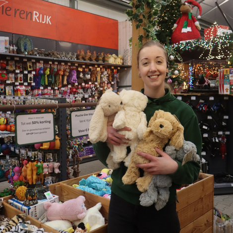 Kattenweekend 12, 13 en 14 december!