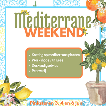 Mediterrane Weekend