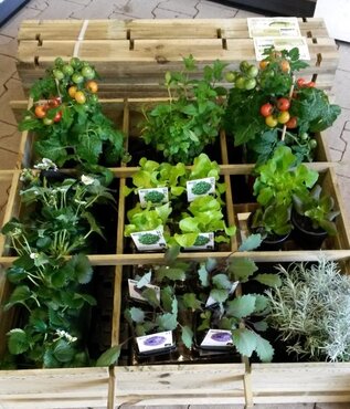 Moestuinspecialist aanwezig