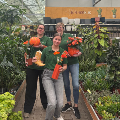 Open sollicitatie