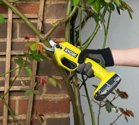 Ryobi Demo - 9 mei