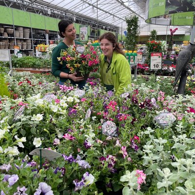 Stagiaire Buitenplanten ✿❀