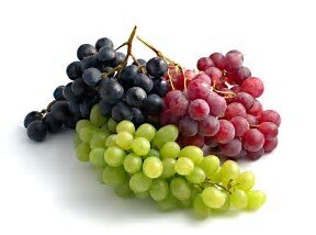 Wijnproeverij Vini Di Oggi