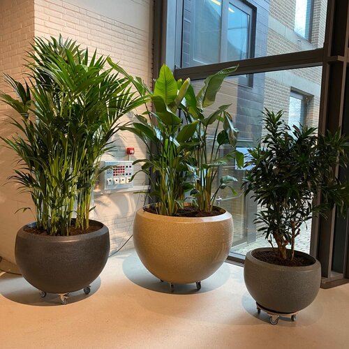 Gerealiseerd Project - PERRON 3 Rosmalen