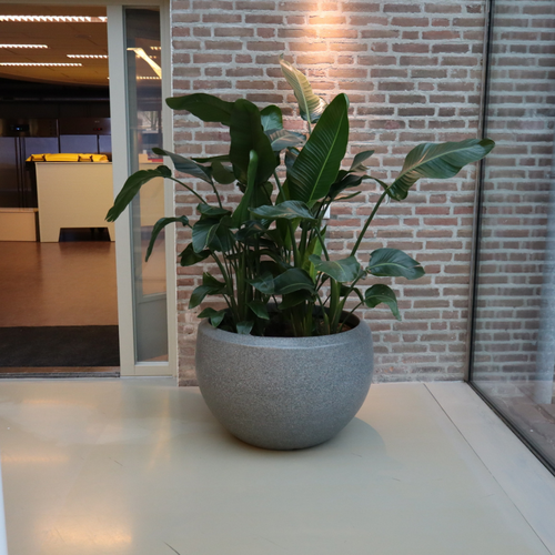 Gerealiseerd Project - Sint-Janslyceum