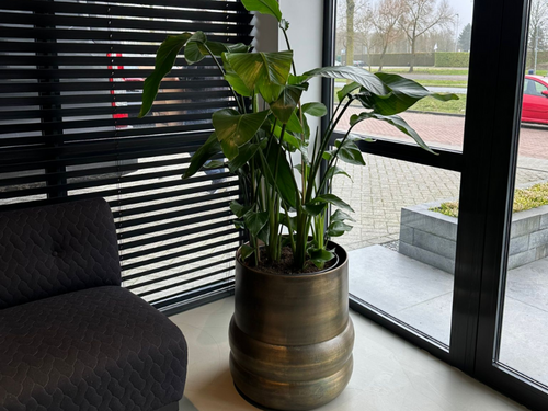 Gerealiseerd Project - Vergroenen Kantoor GDS Bouwsystemen