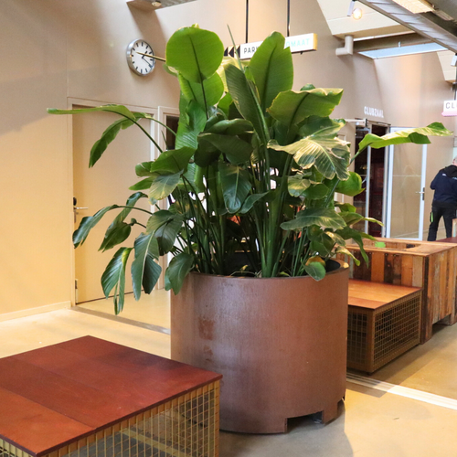 Gerealiseerd Project - Verkadefabriek