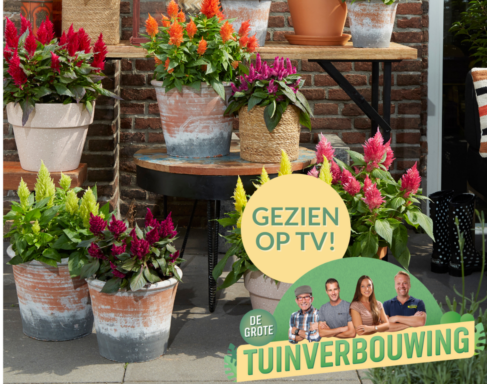 Gezien bij De Grote Tuinverbouwing 30 april 2022 Tuincentrum GroenRijk Den Bosch