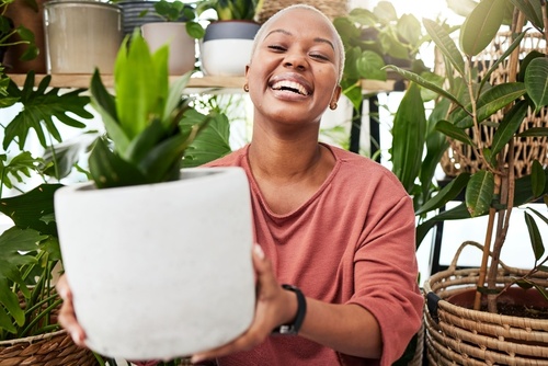 Hoe planten en tuinieren een boost geven aan je mentale gezondheid