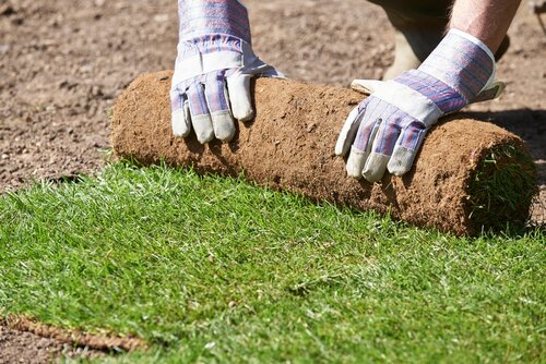 Stappenplan graszoden leggen