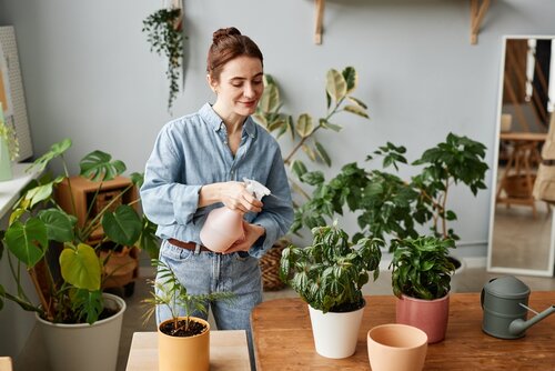 Summer vibes voor je kamerplanten: zo verzorg je ze