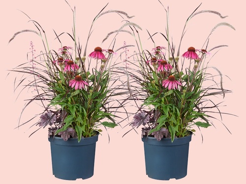Triple Beauty: Drie toppers in één pot