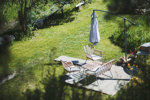 Weg met grijs: zo til je jouw tegeltuin naar een groener (en dus vrolijker) level!