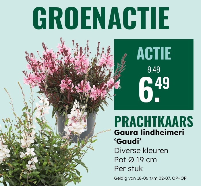 Groenactie: Prachtkaars