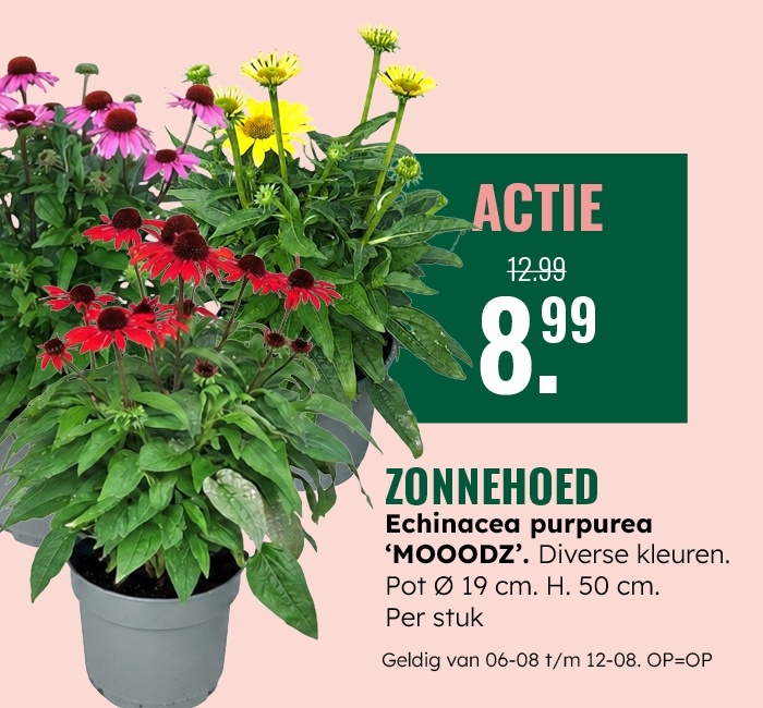 Weekaanbieding: Zonnehoed