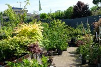 Dit is tuincentrum GroenRijk Den Bosch!