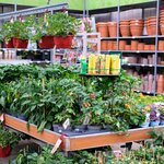 Een kijkje in ons tuincentrum