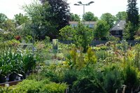Tuinplanten shoppen doe je bij GroenRijk Den Bosch!