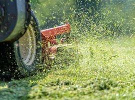 Grasmaaier aanbiedingen? Vergelijk! | Den Bosch