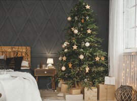 Kerst 2024 | Tuincentrum GroenRijk Den Bosch