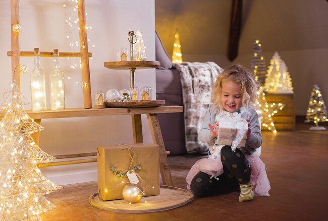 veiling regenval Billy Goat Kerstverlichting & Kerstlampjes | Binnen én buiten