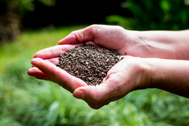 Bescherm uw planten & gazon met de juiste bestrijdingsmiddelen