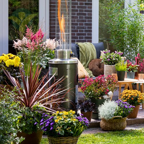 Snelkoppelingen Zwijgend gokken Tuinplanten Kopen in Den Bosch?