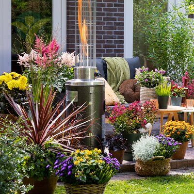 Tuinplanten Kopen in Den Bosch?