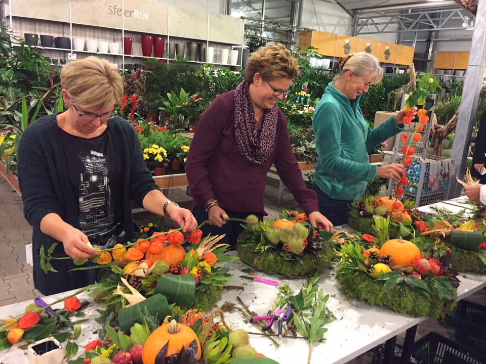 Bezoek ons gezellige tuincentrum nabij Schijndel! Bezoek ons gezellige tuincentrum nabij Schijndel!